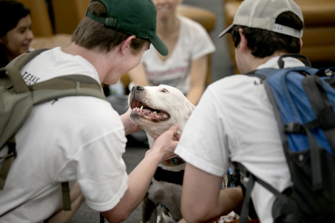 Students get some pet therapy.